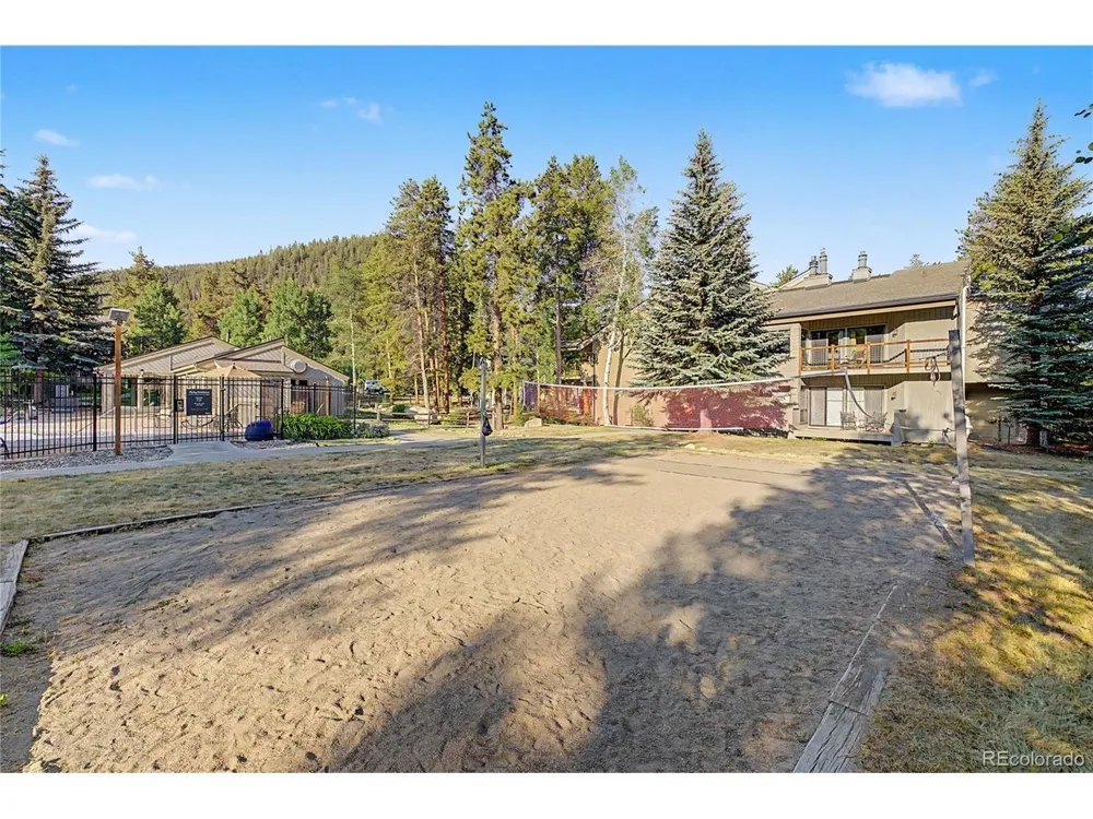 100 Wild Irishman Road #1109 Dillon, CO 80435