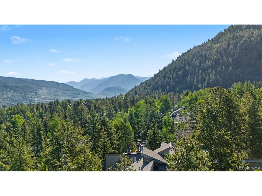100 Wild Irishman Road #1109 Dillon, CO 80435