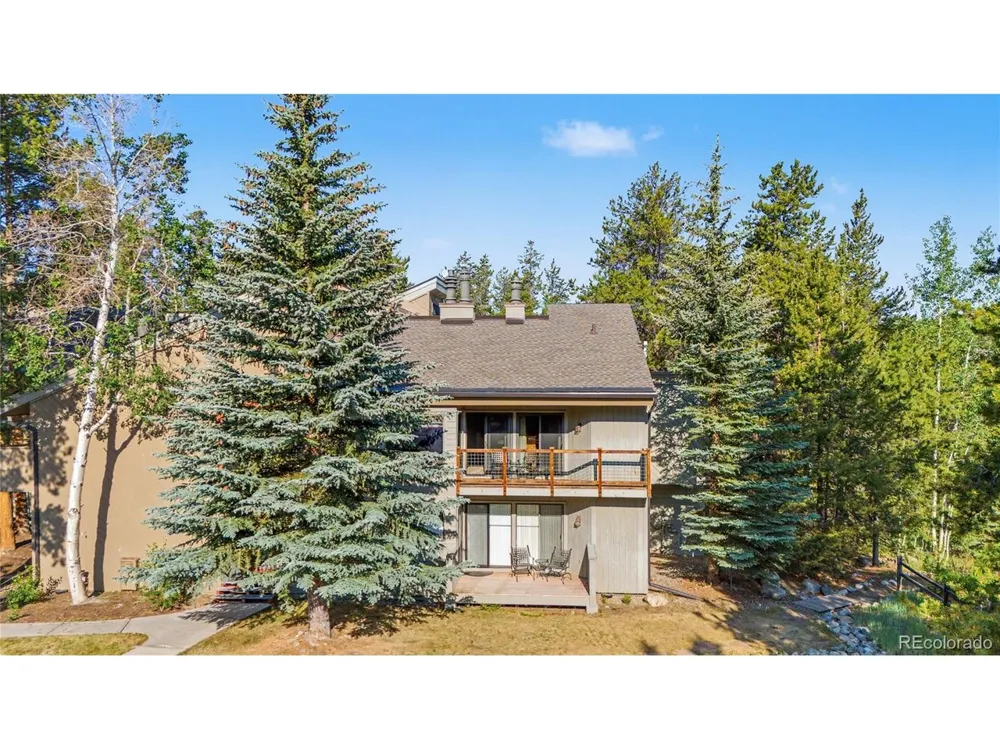 100 Wild Irishman Road #1109 Dillon, CO 80435