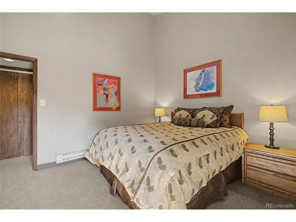 100 Wild Irishman Road #1109 Dillon, CO 80435