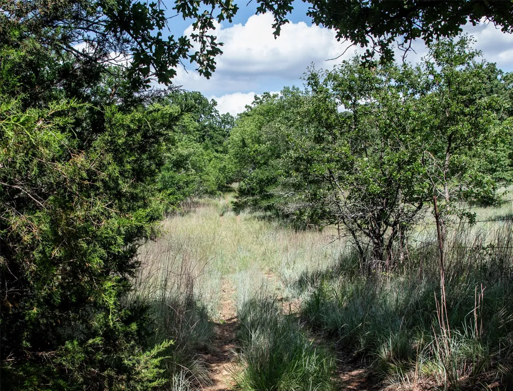 Silver Leaf Drive Sunset, TX 76270