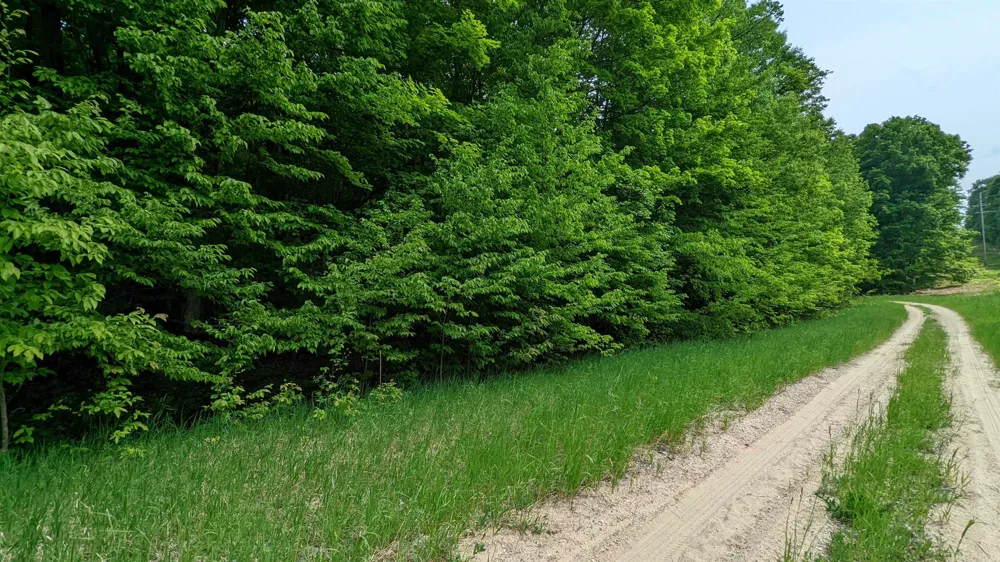 Swiss Village Kearney Township, MI 49615