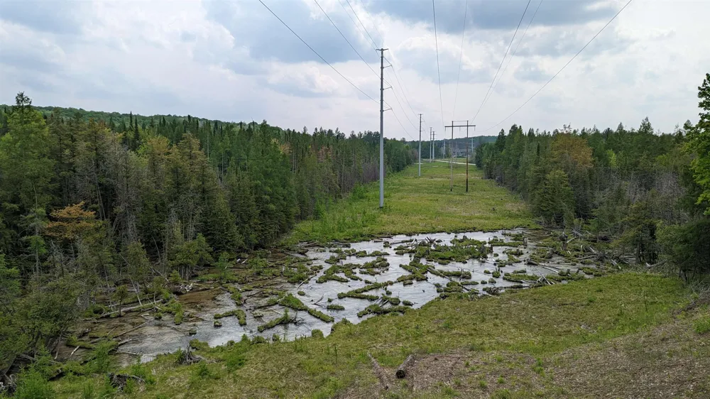 Swiss Village Kearney Township, MI 49615