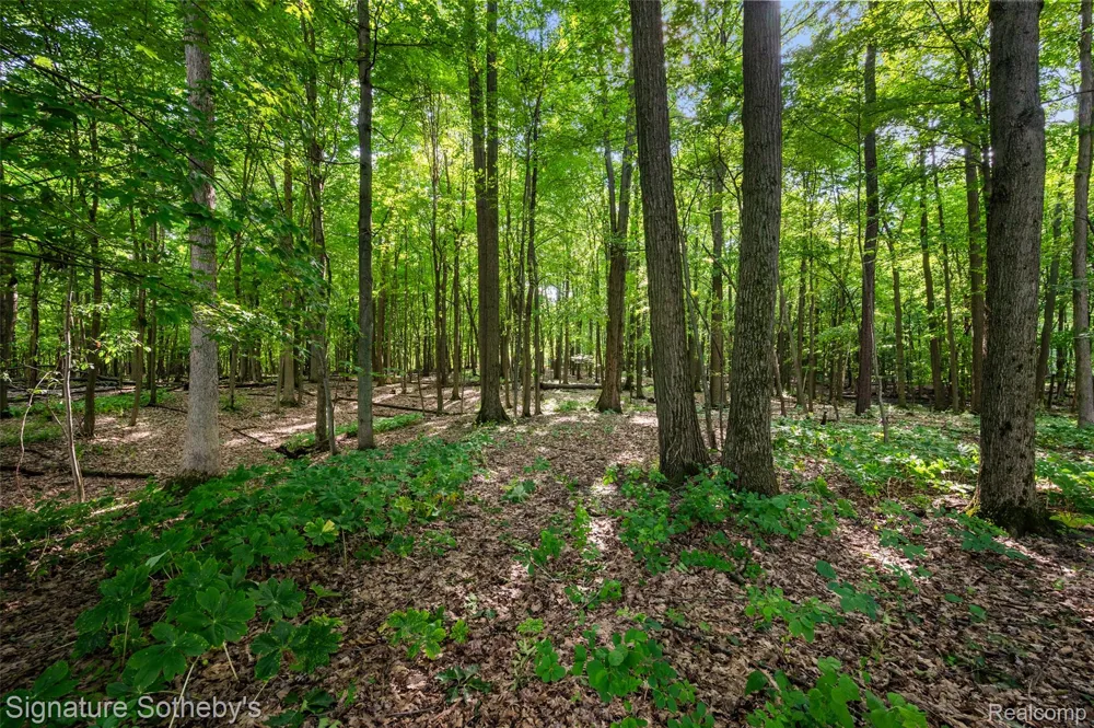 3915 McGinnis Road Groveland Township, MI 48442