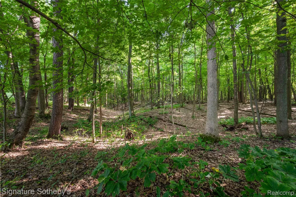 3915 McGinnis Road Groveland Township, MI 48442
