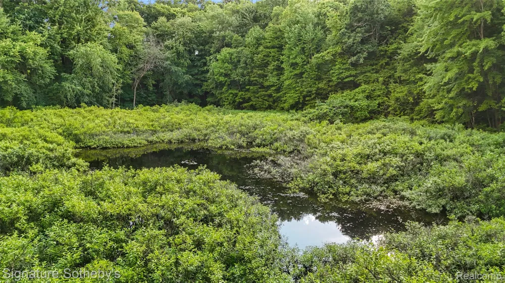 3915 McGinnis Road Groveland Township, MI 48442