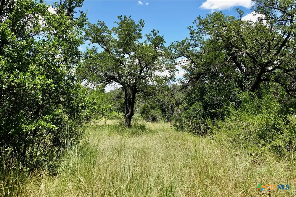 170 CR 505 Goldthwaite, TX 76844