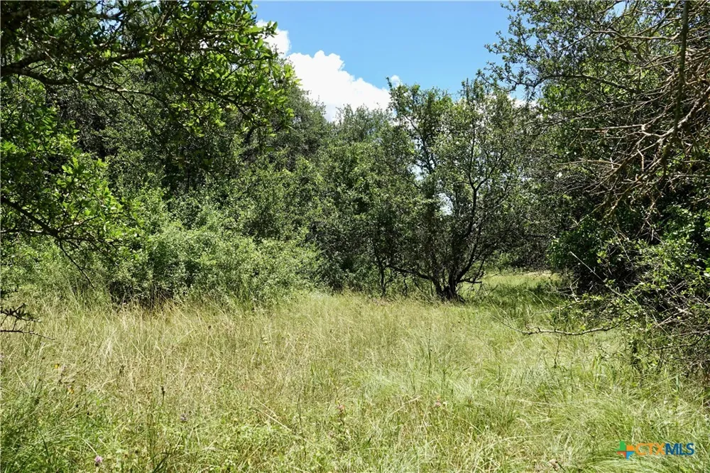 170 CR 505 Goldthwaite, TX 76844