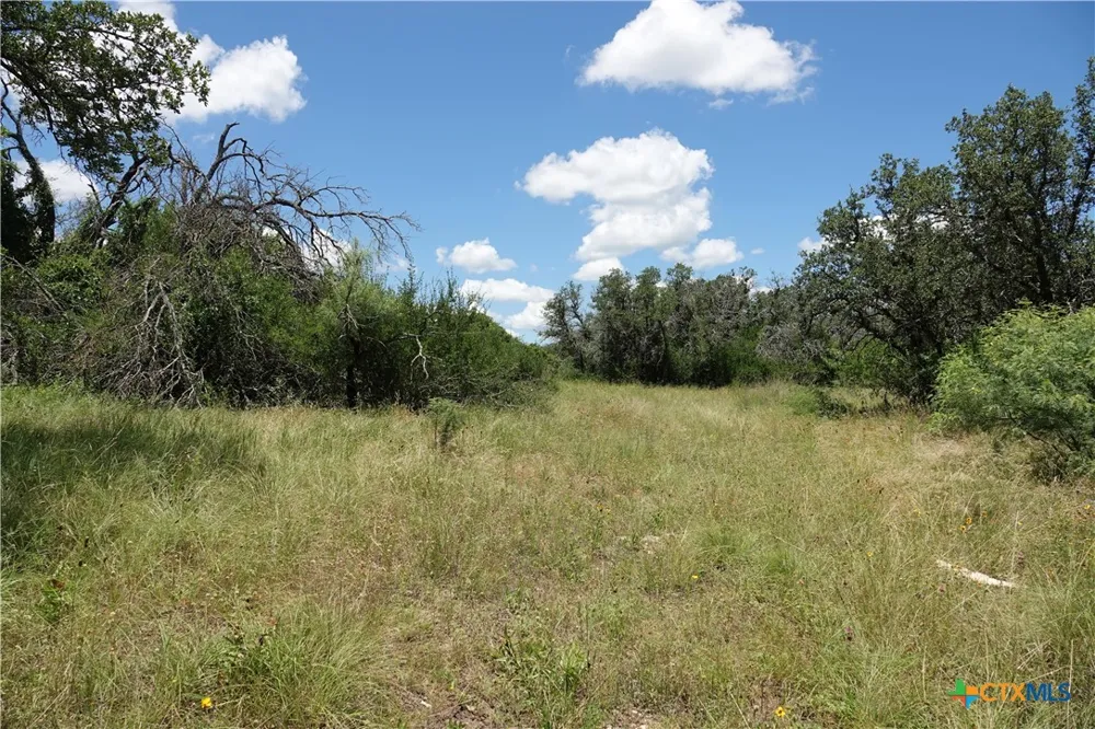 170 CR 505 Goldthwaite, TX 76844