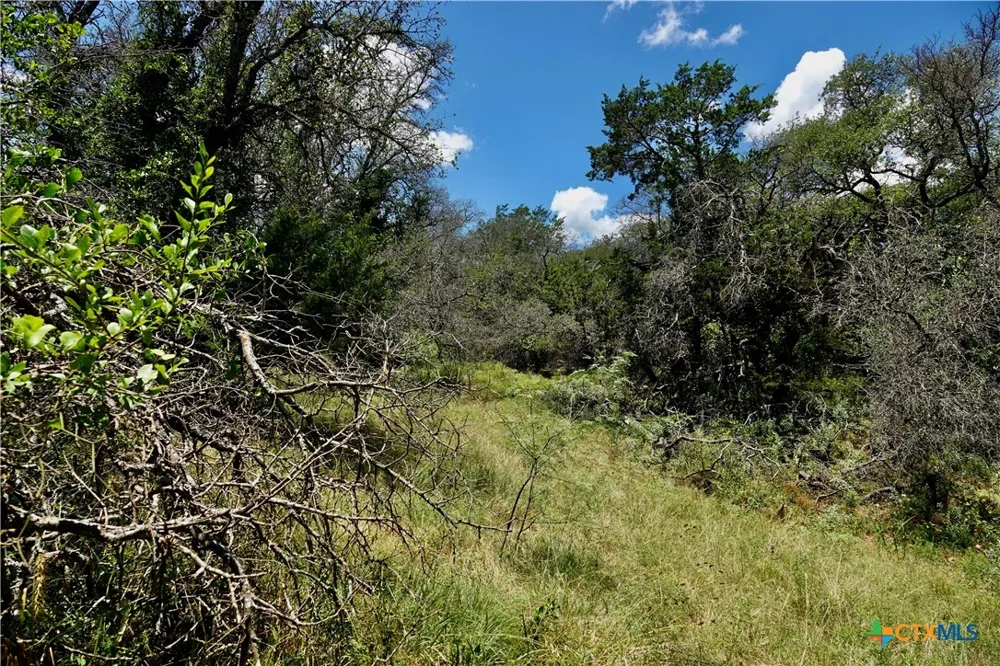 170 CR 505 Goldthwaite, TX 76844
