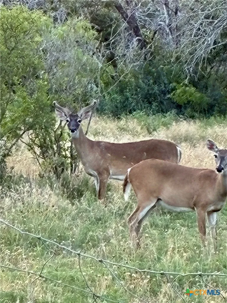 170 CR 505 Goldthwaite, TX 76844