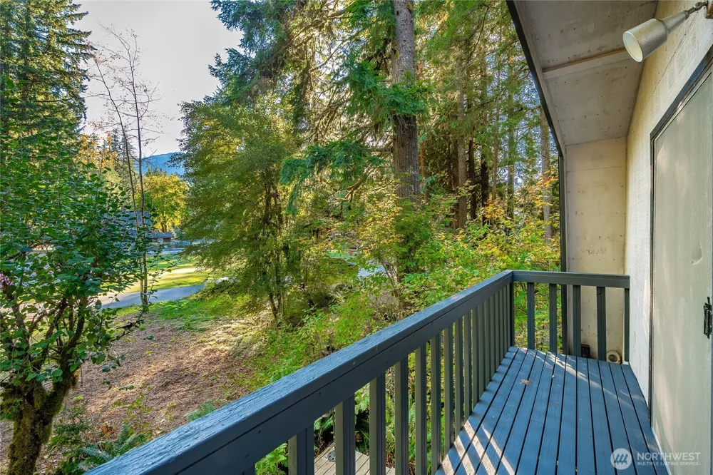 7018 Olympus Way Glacier, WA 98244