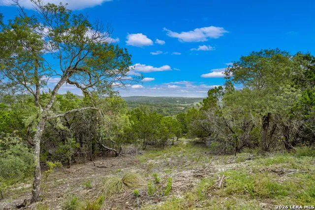 335 Shepherds Ranch Bulverde, TX 78163