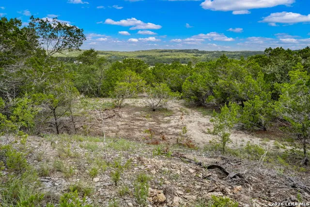 335 Shepherds Ranch Bulverde, TX 78163
