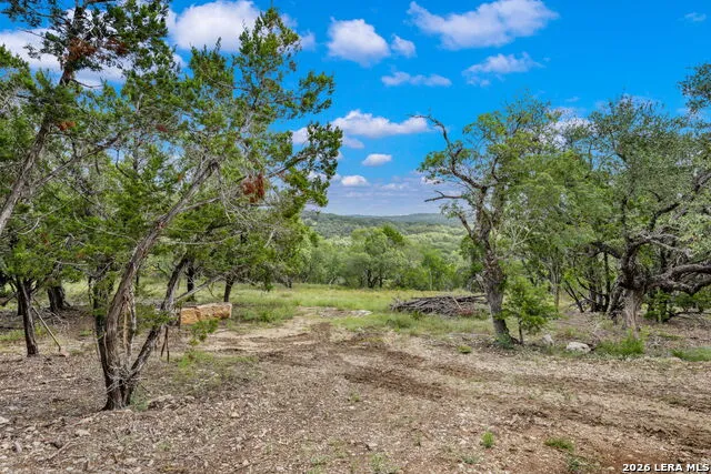 335 Shepherds Ranch Bulverde, TX 78163
