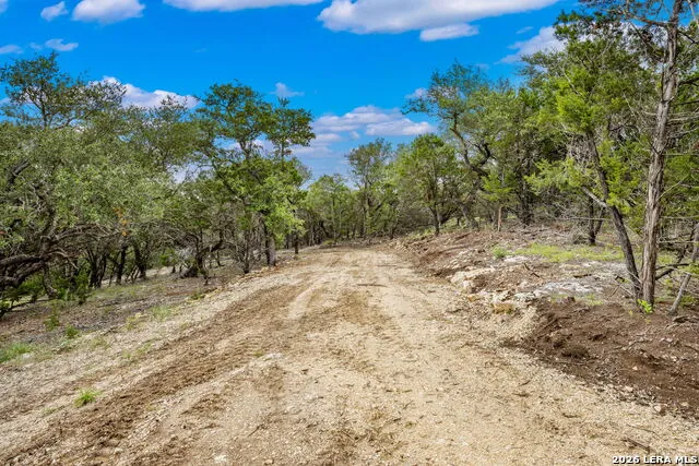 335 Shepherds Ranch Bulverde, TX 78163