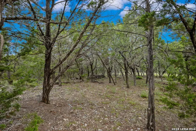 335 Shepherds Ranch Bulverde, TX 78163