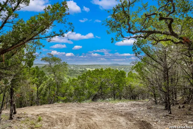335 Shepherds Ranch Bulverde, TX 78163