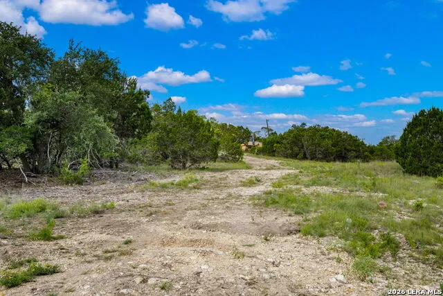 335 Shepherds Ranch Bulverde, TX 78163