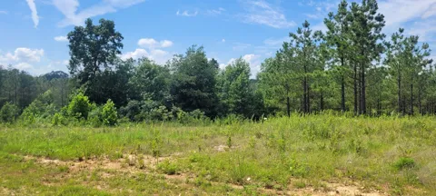 96 Evergreen Dr