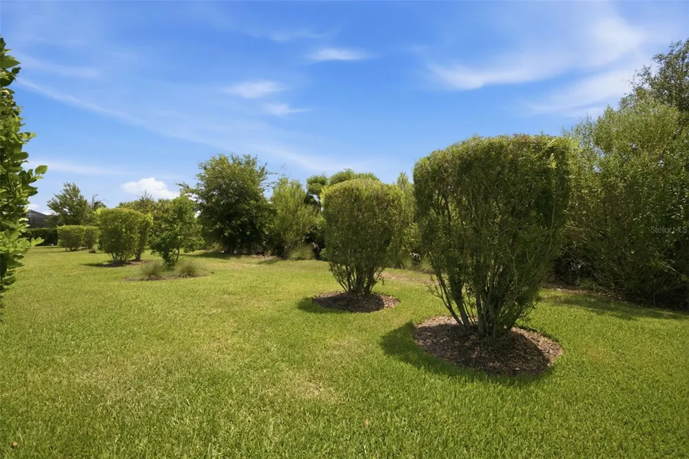 3254 FRANCOA DRIVE Odessa, FL 33556