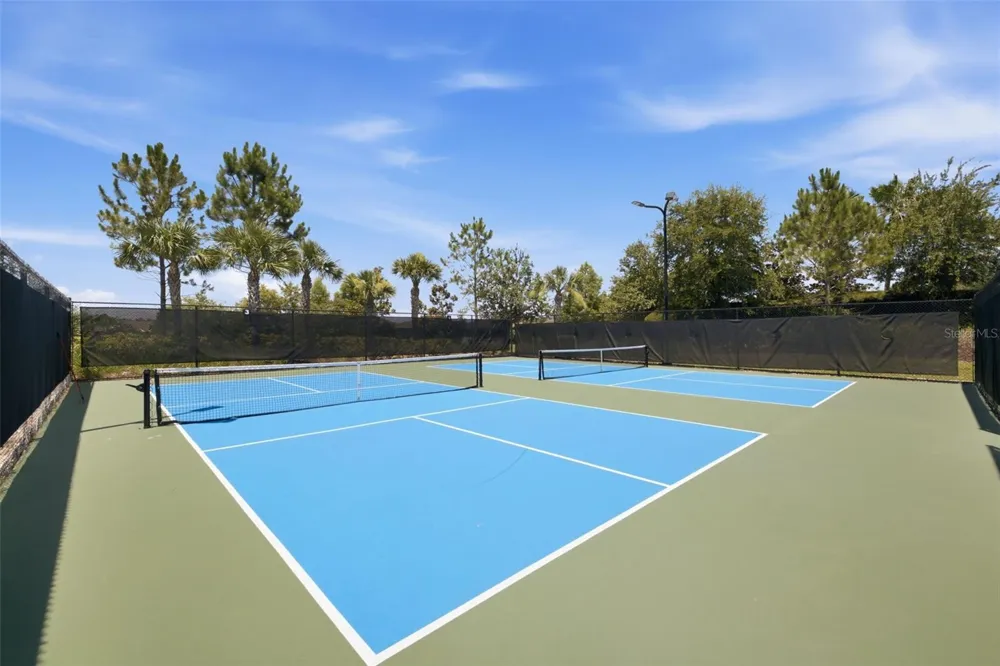 3254 FRANCOA DRIVE Odessa, FL 33556