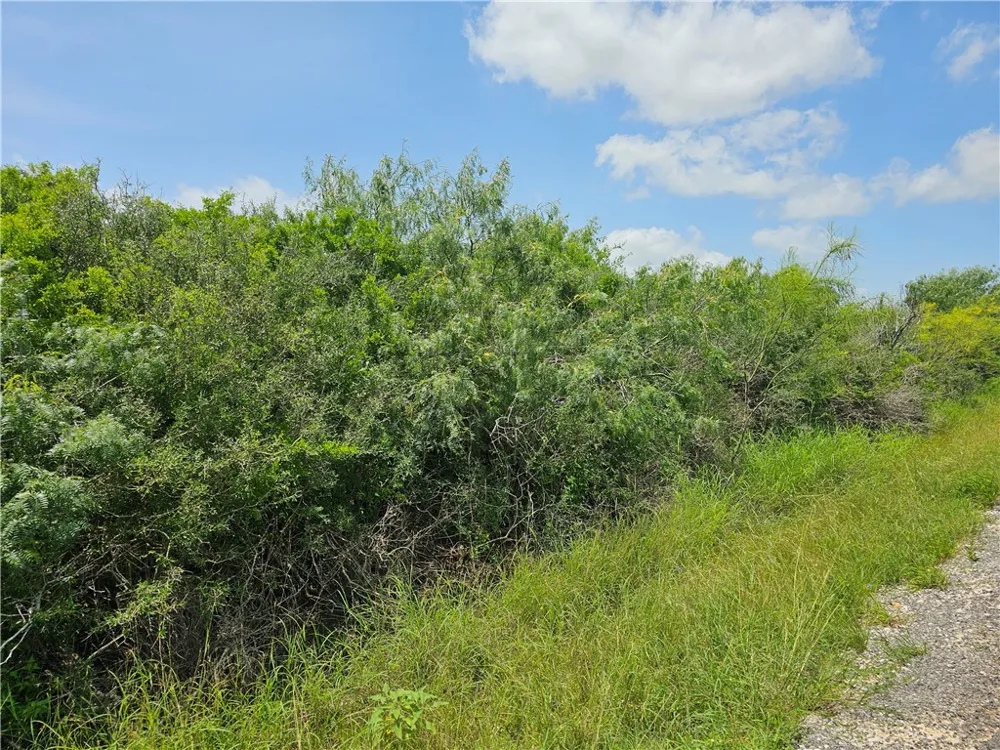 1110 Second Street Bayside, TX 78340