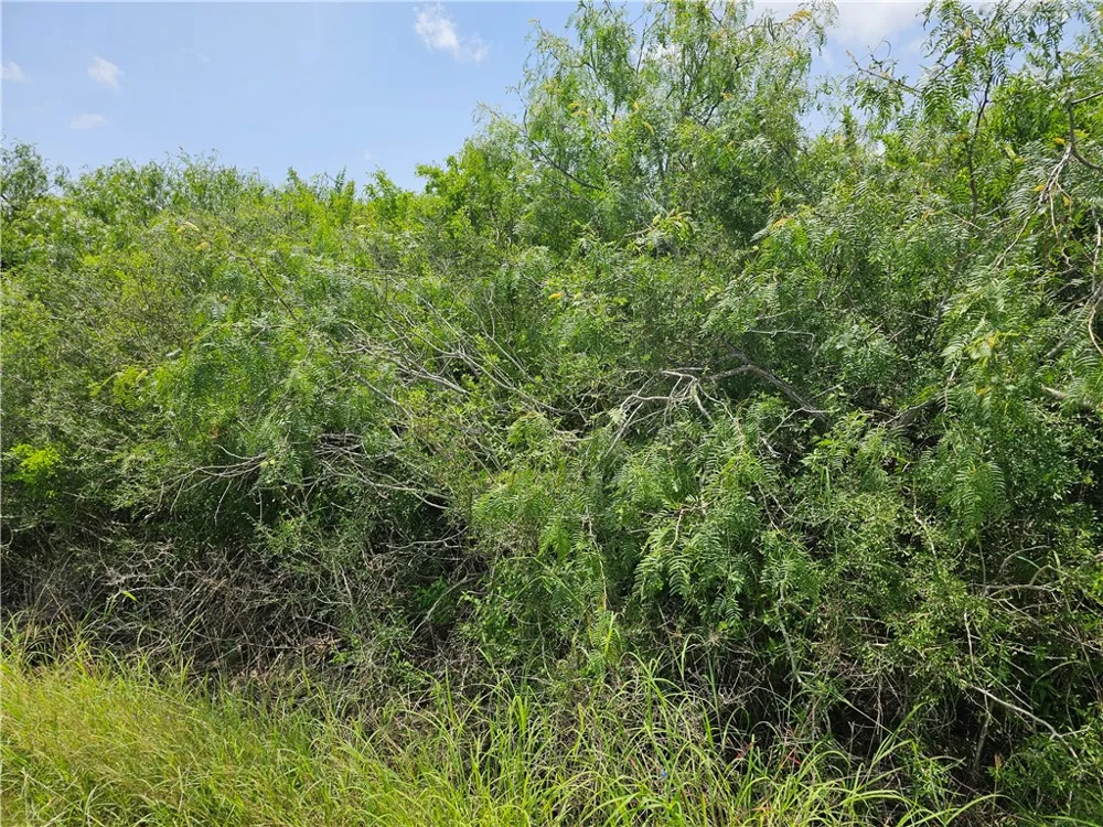 1110 Second Street Bayside, TX 78340