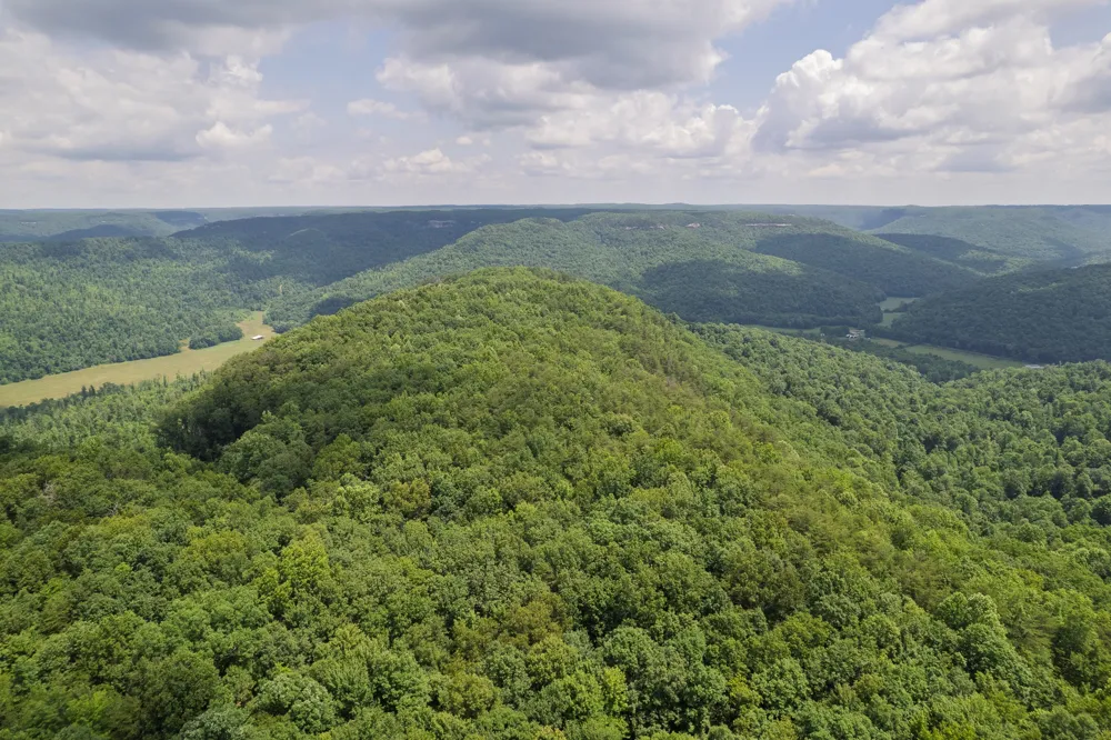 1313 Flat Rock Rd Jamestown, TN 38556