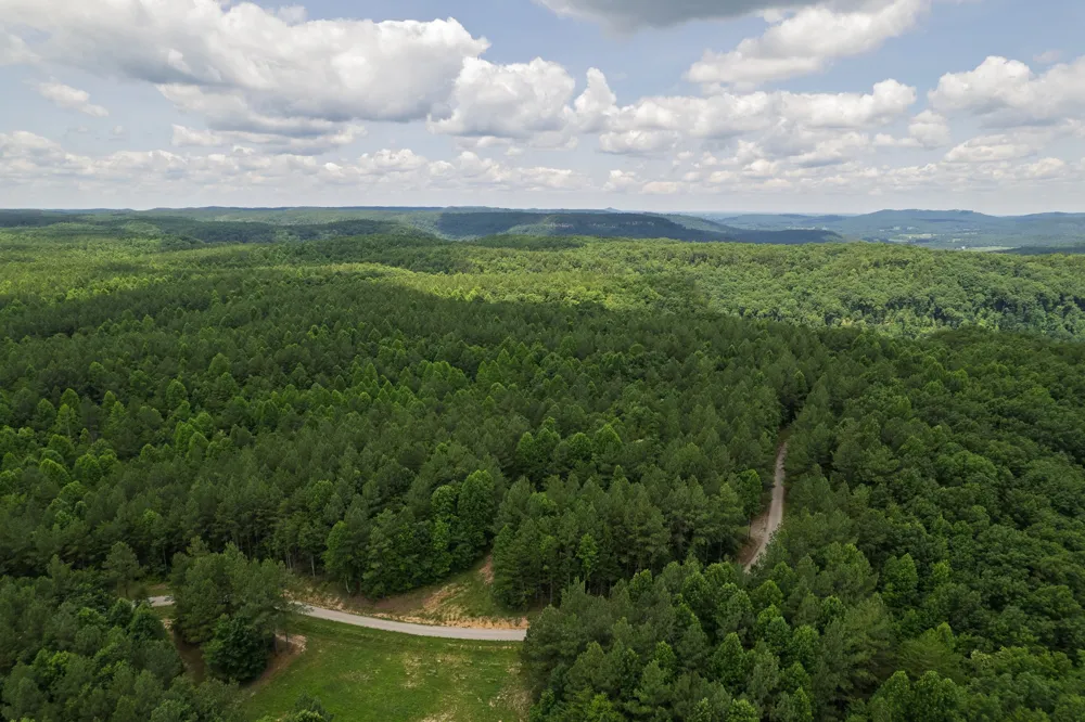 1313 Flat Rock Rd Jamestown, TN 38556