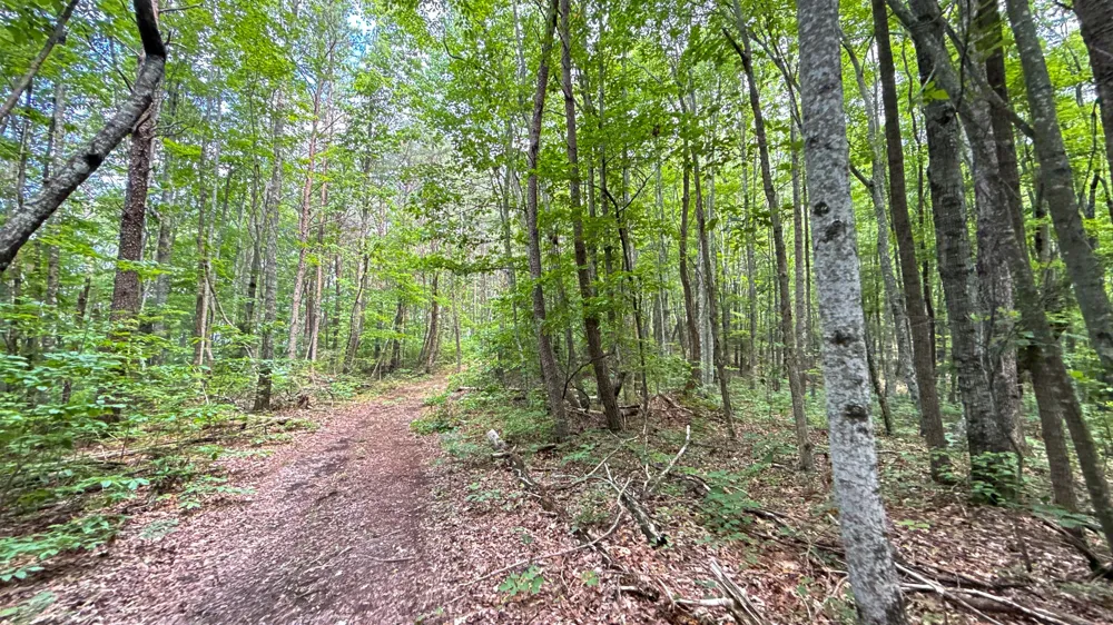 1313 Flat Rock Rd Jamestown, TN 38556
