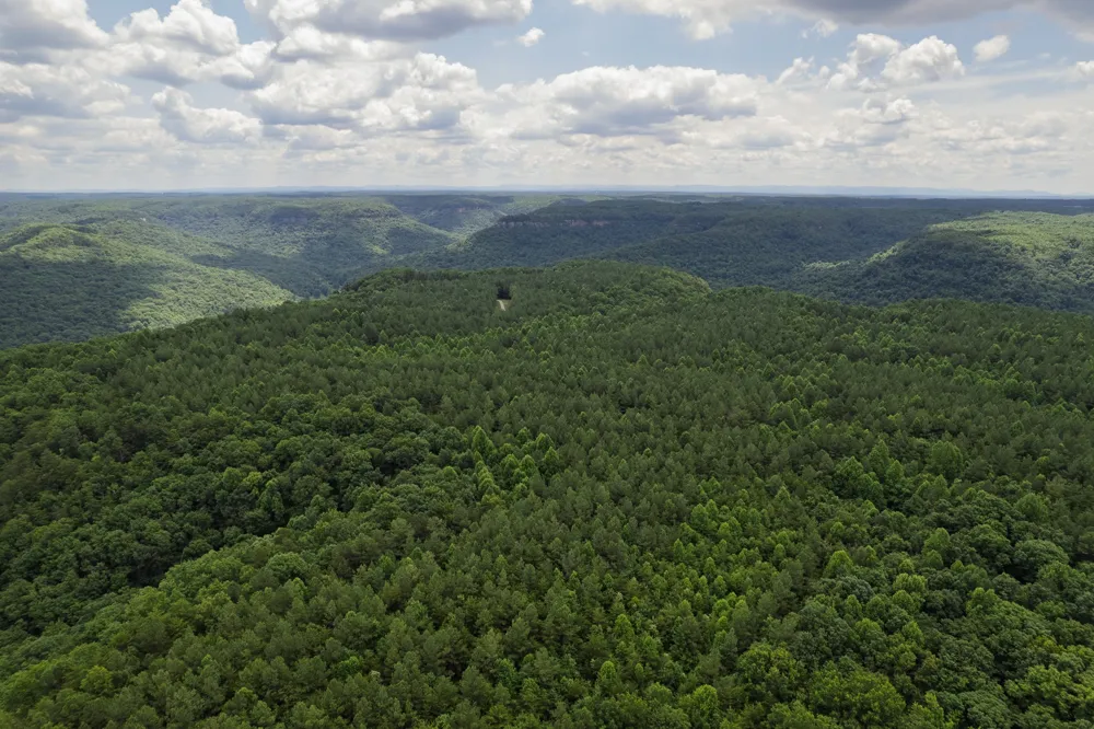 1313 Flat Rock Rd Jamestown, TN 38556