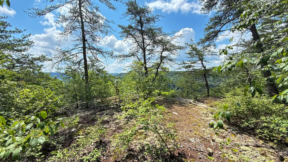 1313 Flat Rock Rd Jamestown, TN 38556
