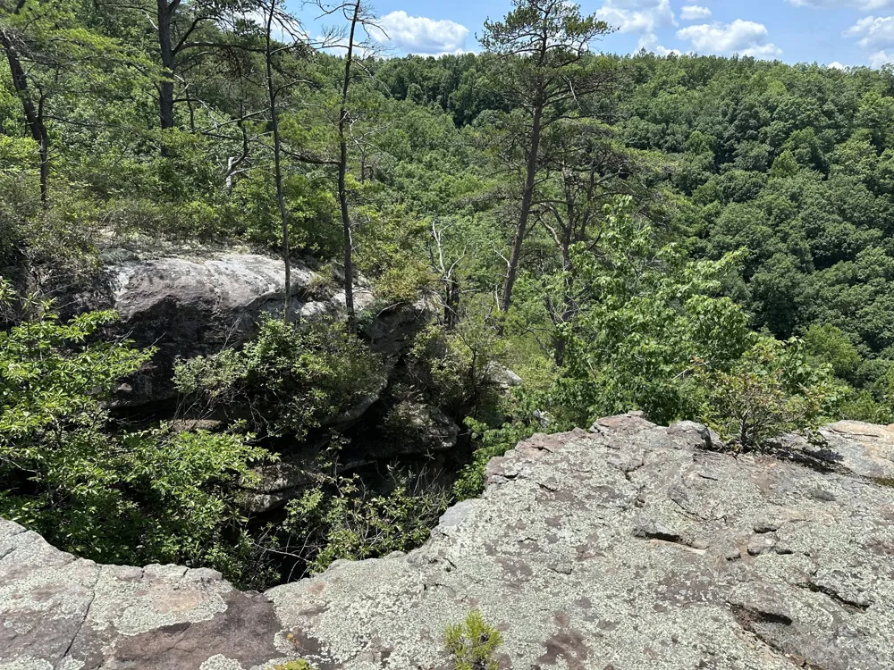 1313 Flat Rock Rd Jamestown, TN 38556