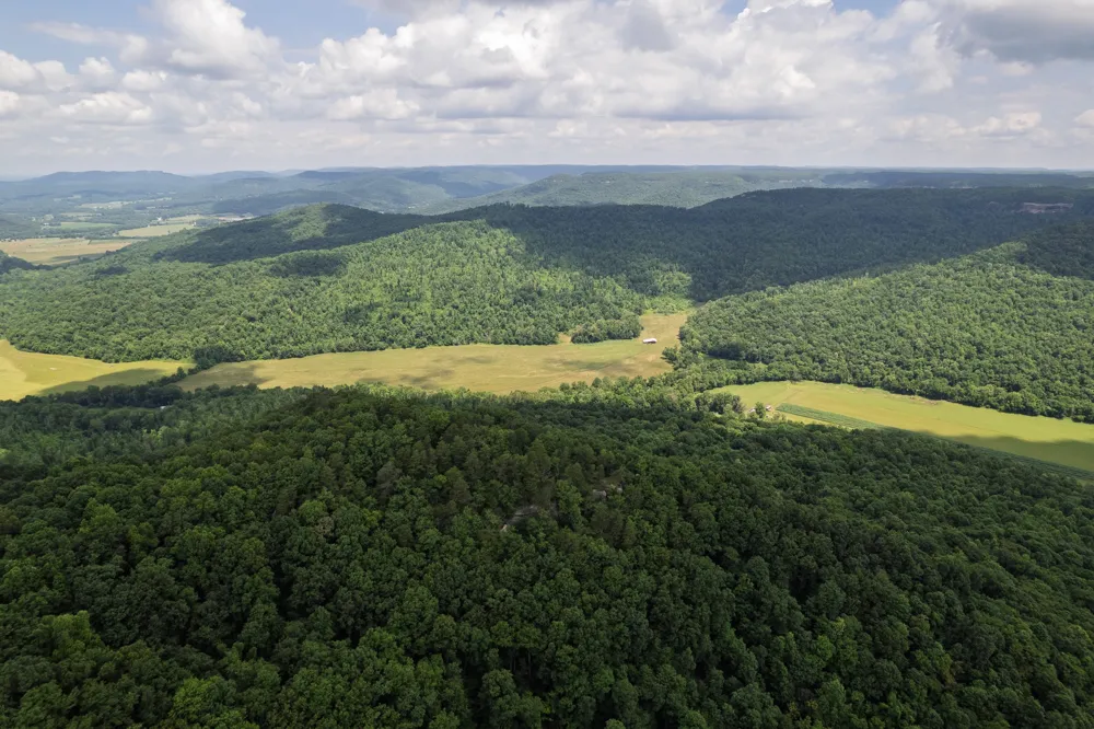 1313 Flat Rock Rd Jamestown, TN 38556