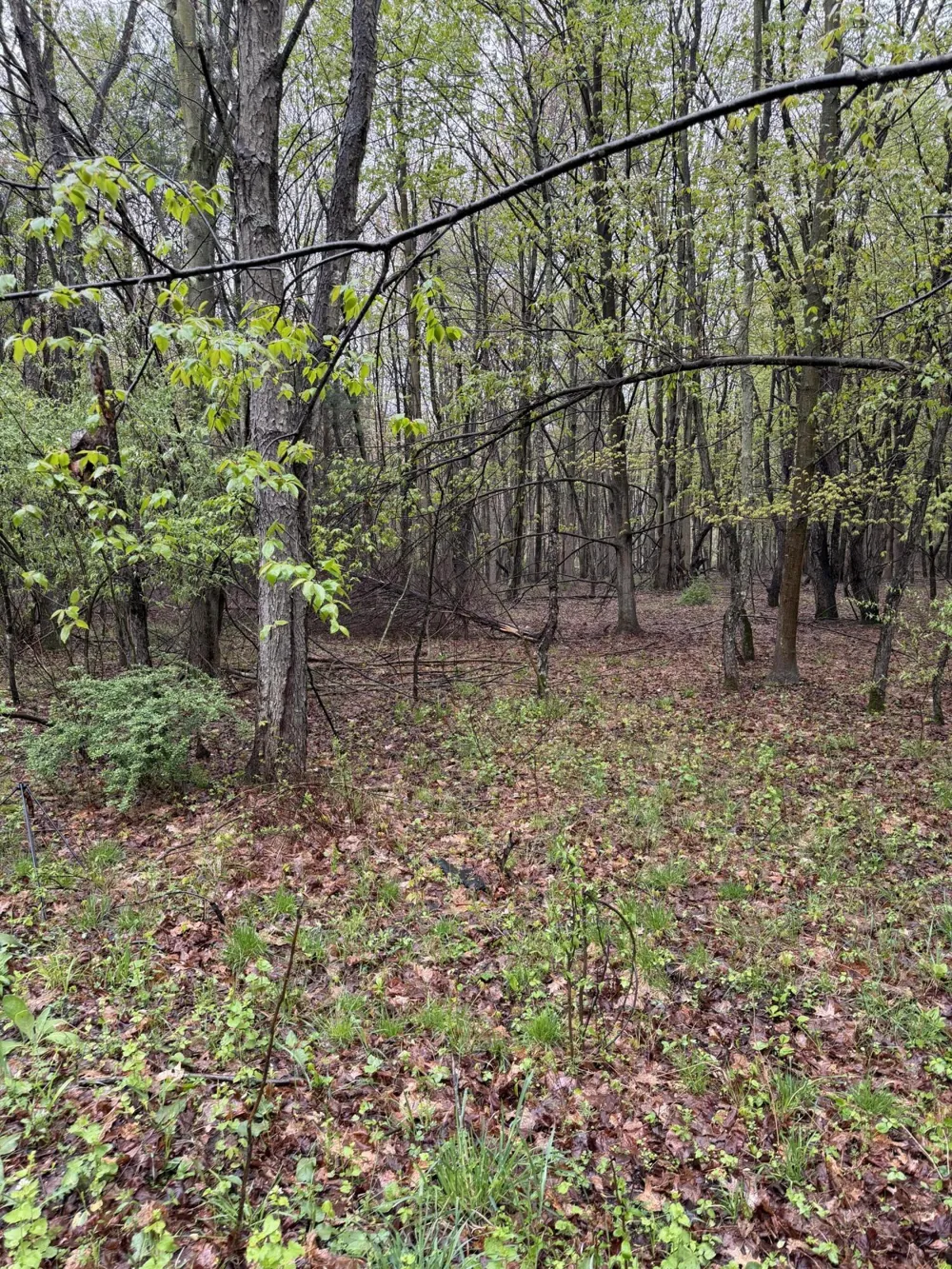 2 Christopher Lane South Haven, MI 49090