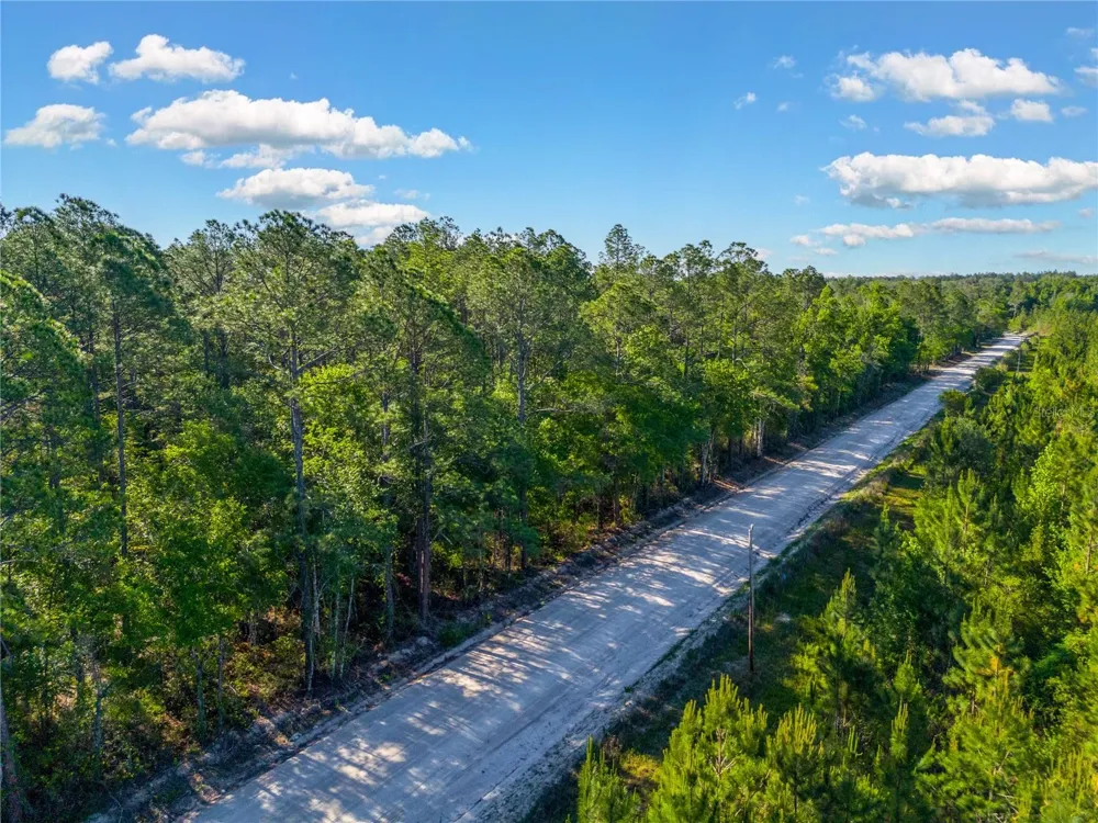 SW 126TH AVE, LAKE BUTLER Lake Butler, FL 32054