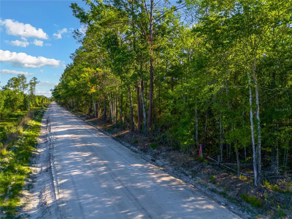 SW 126TH AVE, LAKE BUTLER Lake Butler, FL 32054