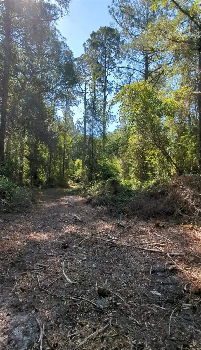 SW 126TH AVE, LAKE BUTLER Lake Butler, FL 32054