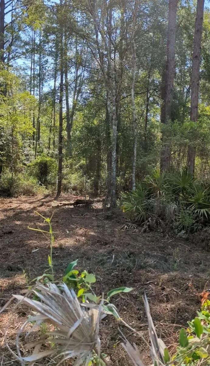 SW 126TH AVE, LAKE BUTLER Lake Butler, FL 32054