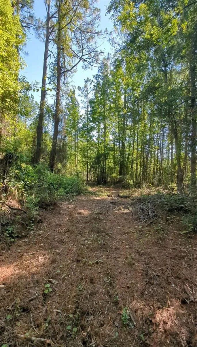 SW 126TH AVE, LAKE BUTLER Lake Butler, FL 32054