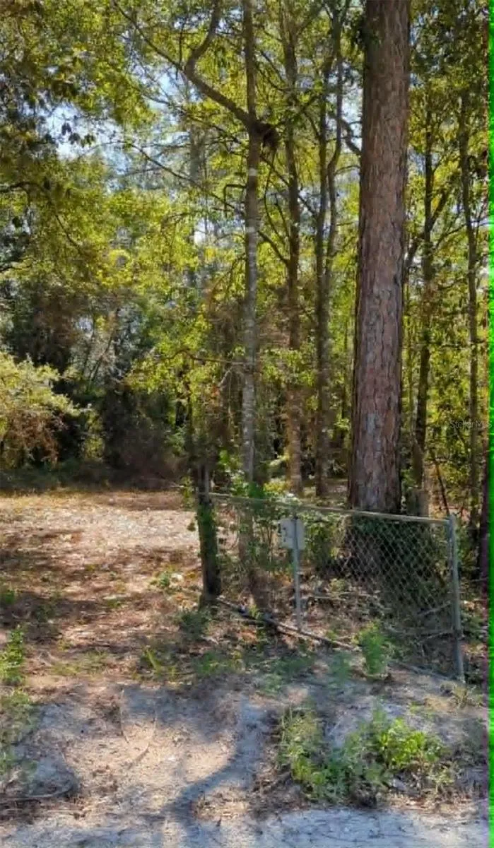 SW 126TH AVE, LAKE BUTLER Lake Butler, FL 32054
