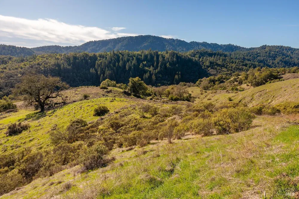 2365 Sweetwater Springs Road Healdsburg, CA 95448