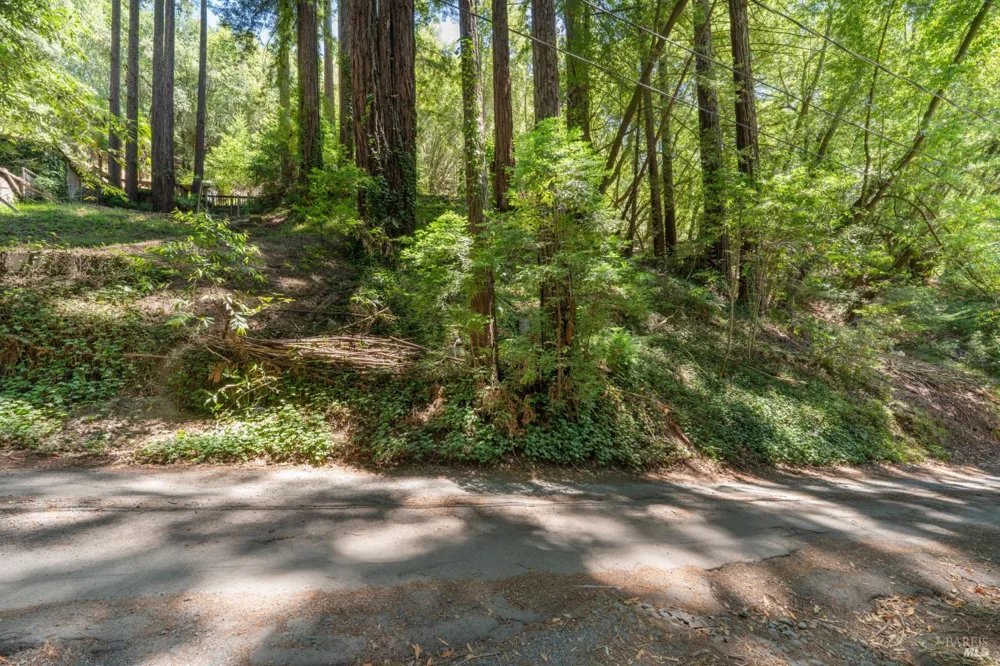 15192 Canyon 6 Road Guerneville, CA 95446
