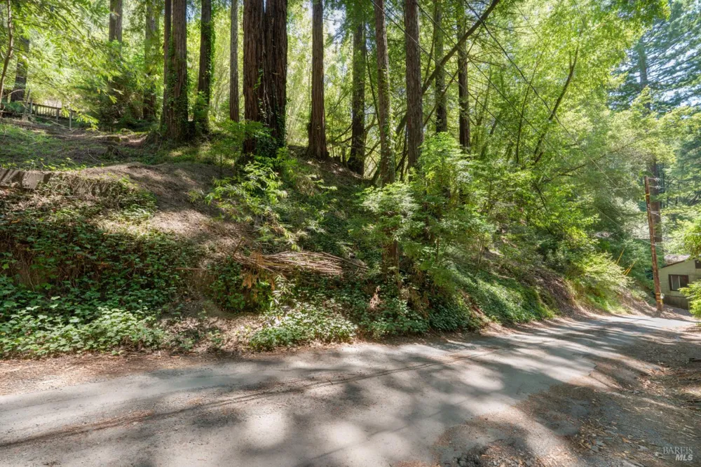 15192 Canyon 6 Road Guerneville, CA 95446