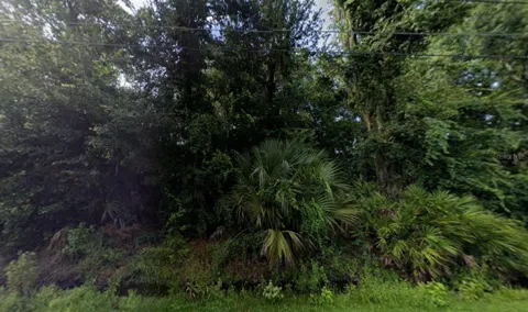242 TOMS ROAD