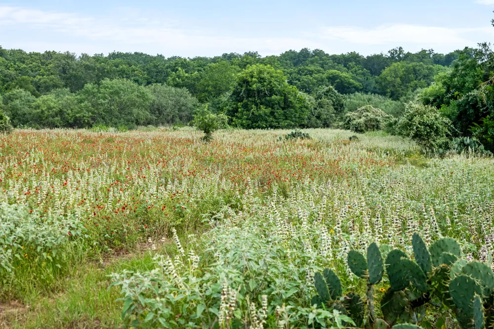 317 Walnut Creek Road Bastrop, TX 78602