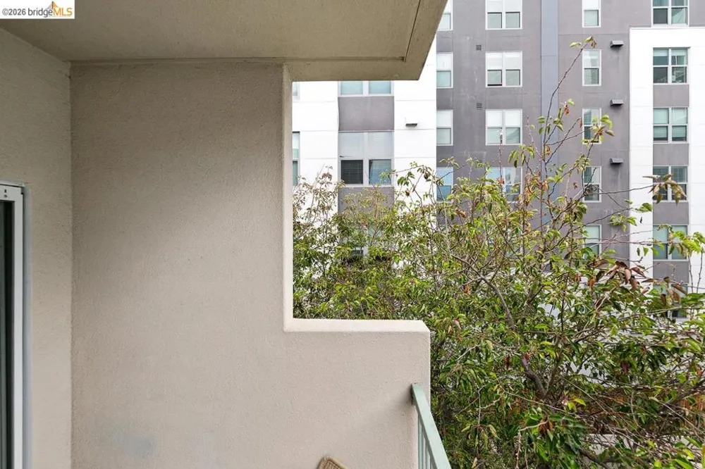 2029 Channing Way #3D Berkeley, CA 94704