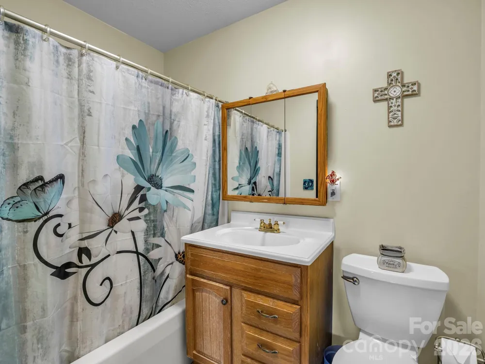 1025 Jeter Mountain Road Penrose, NC 28766