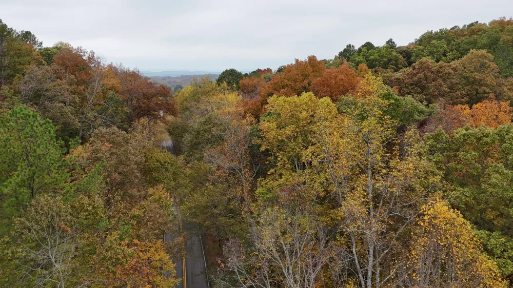 0 Lower River Road NW Georgetown, TN 37336
